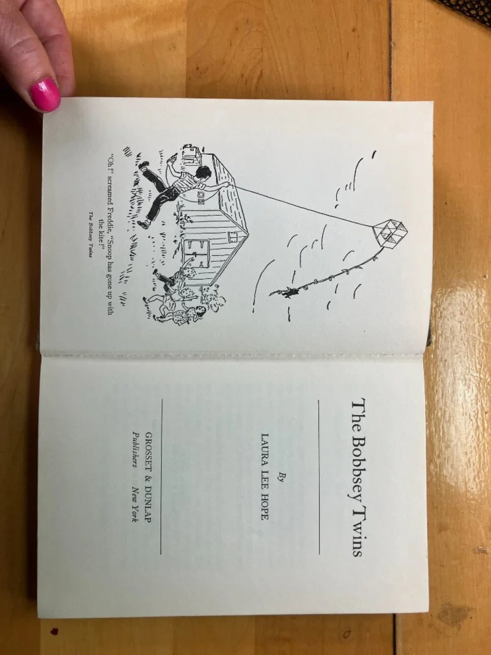 Vintage Bobbsey Twins Hardcover Book Set 1941 1959 1966 Laura Lee Hope Grosset